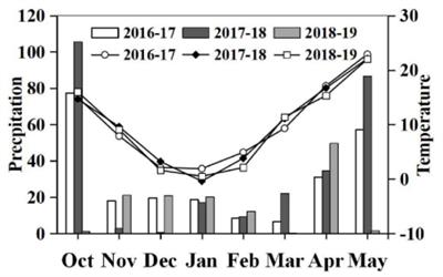 Impact of Combining Long-Term Subsoiling and Organic Fertilizer on Soil Microbial Biomass Carbon and Nitrogen, Soil Enzyme Activity, and Water Use of Winter Wheat